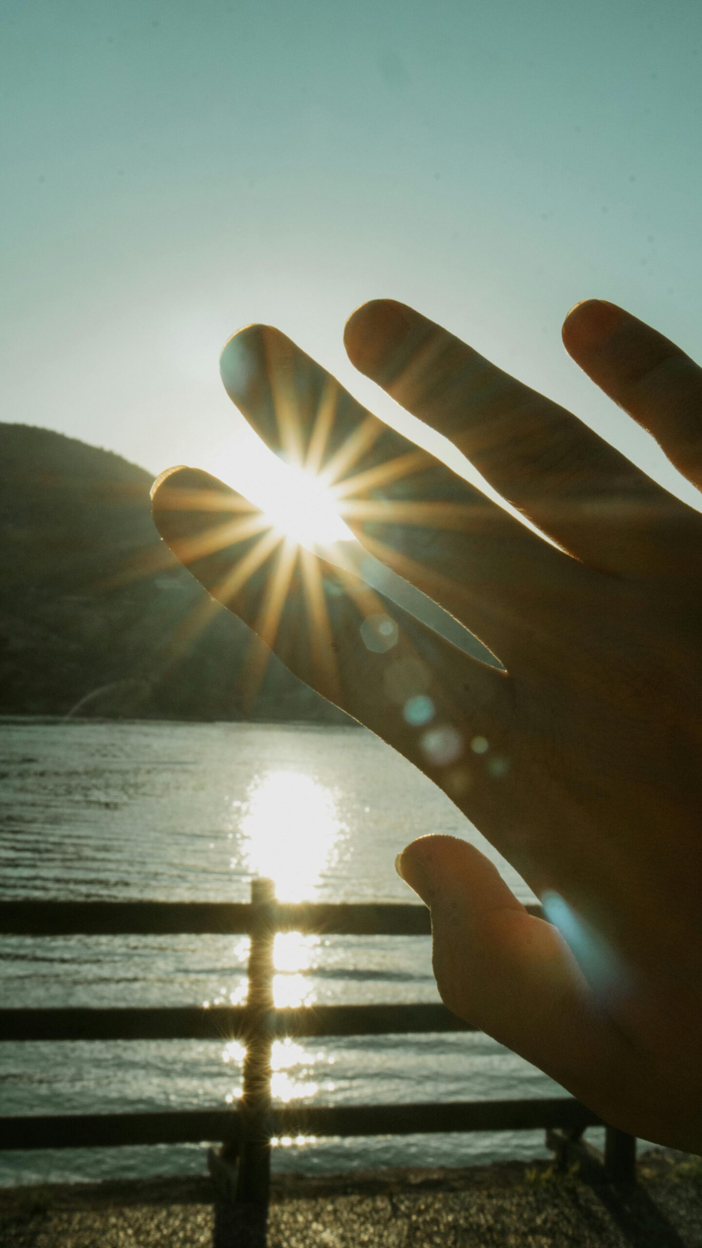 Zonpositie: volle zon, halfzon of schaduw en waarom dit biologisch verschil maakt